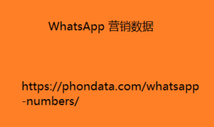 WhatsApp 营销数据