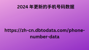 2024 年更新的手机号码数据